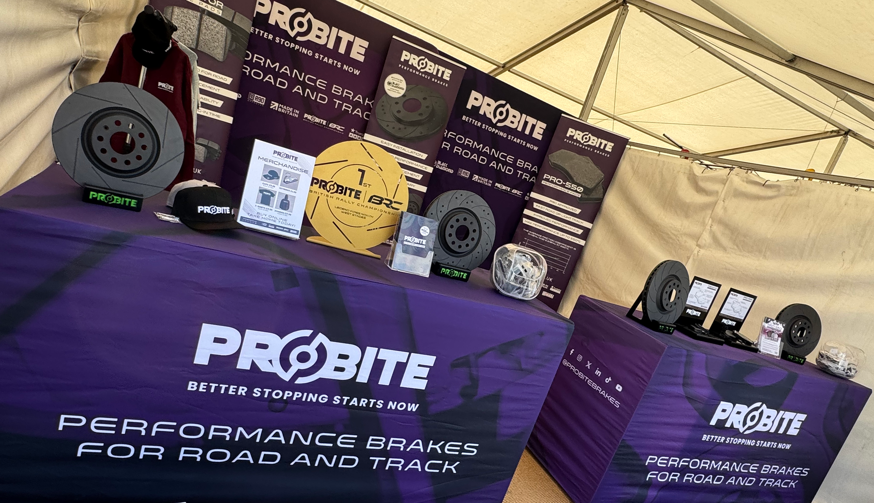 Goodwood and Mini Festival 2025